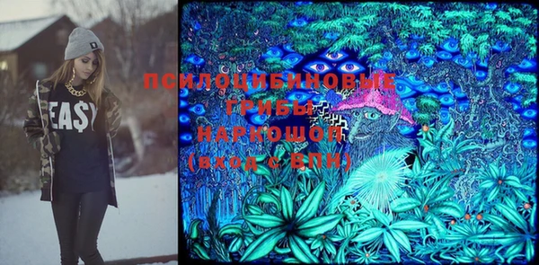 спиды Лиски