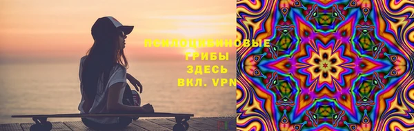 гидропоника Богданович